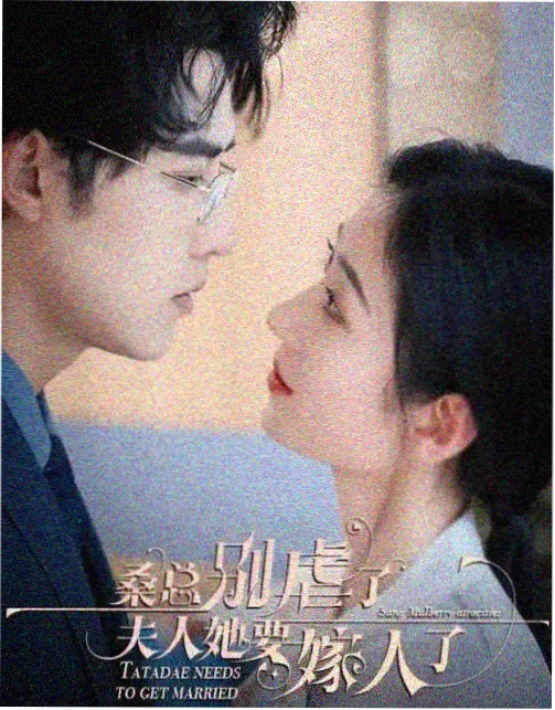 风启山河 电视剧 2026
